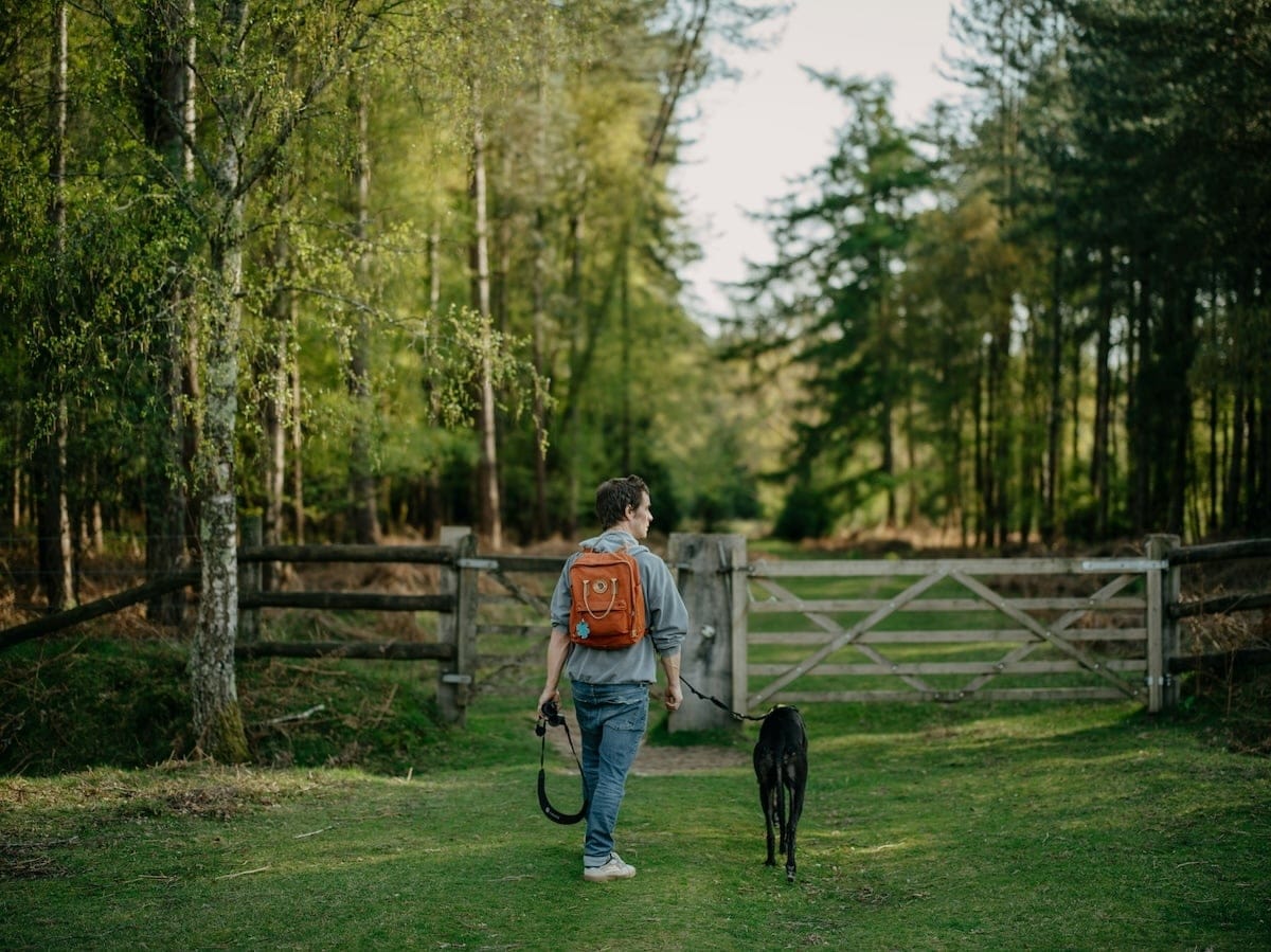 dog walker on a solo dog walk in Peterborough